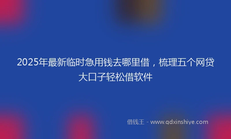 2025年最新临时急用钱去哪里借，梳理五个网贷大口子轻松借软件