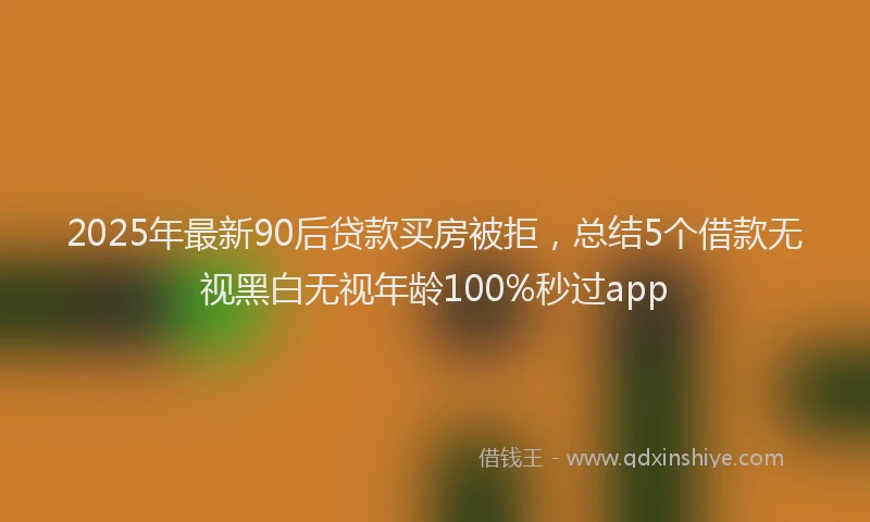 2025年最新90后贷款买房被拒，总结5个借款无视黑白无视年龄100%秒过app