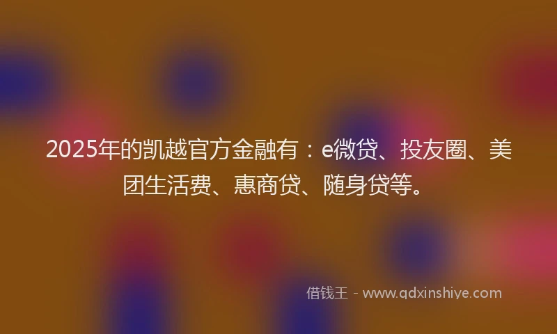 2025年的凯越官方金融有：e微贷、投友圈、美团生活费、惠商贷、随身贷等。