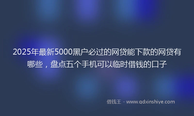 2025年最新5000黑户必过的网贷能下款的网贷有哪些，盘点五个手机可以临时借钱的口子