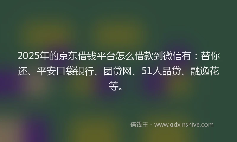 2025年的京东借钱平台怎么借款到微信有：替你还、平安口袋银行、团贷网、51人品贷、融逸花等。