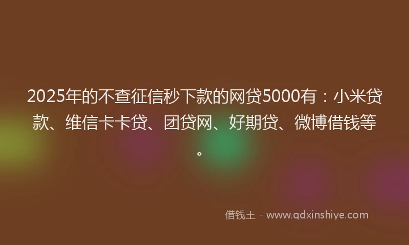 2025年的不查征信秒下款的网贷5000有：小米贷款、维信卡卡贷、团贷网、好期贷、微博借钱等。