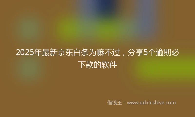 2025年最新京东白条为嘛不过，分享5个逾期必下款的软件