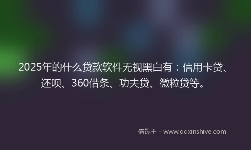 2025年的什么贷款软件无视黑白有：信用卡贷、还呗、360借条、功夫贷、微粒贷等。