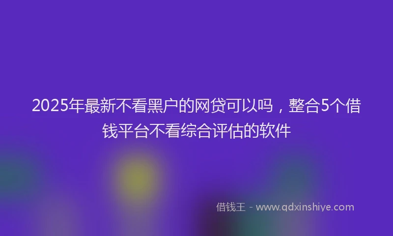 2025年最新不看黑户的网贷可以吗，整合5个借钱平台不看综合评估的软件