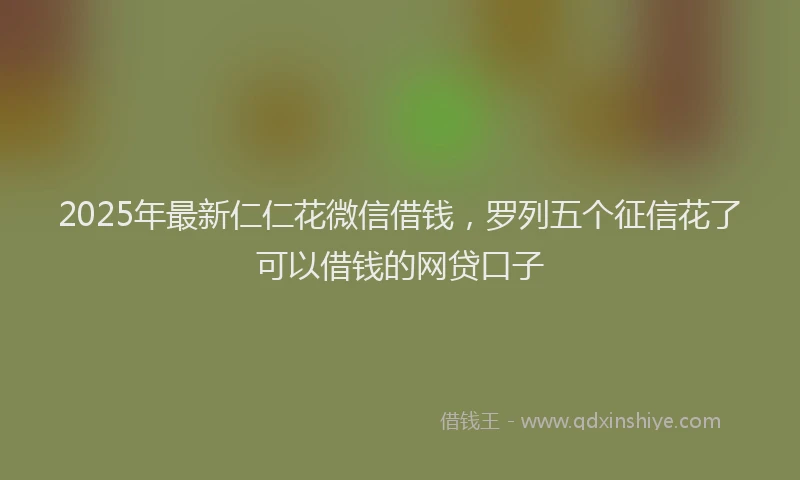 2025年最新仁仁花微信借钱，罗列五个征信花了可以借钱的网贷口子