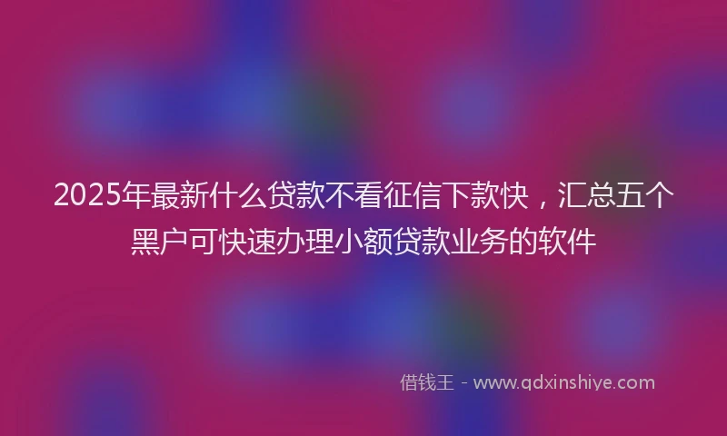 2025年最新什么贷款不看征信下款快，汇总五个黑户可快速办理小额贷款业务的软件