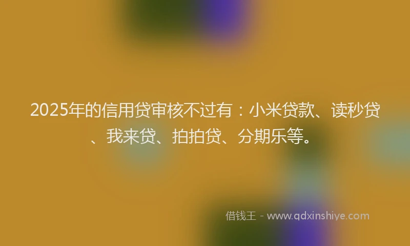 2025年的信用贷审核不过有：小米贷款、读秒贷、我来贷、拍拍贷、分期乐等。