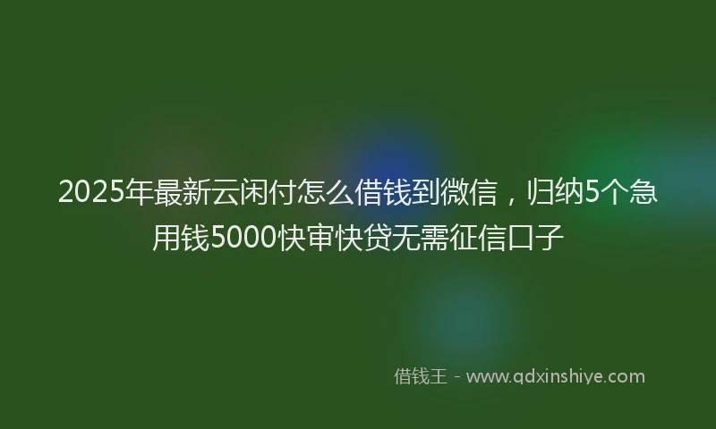 2025年最新云闲付怎么借钱到微信，归纳5个急用钱5000快审快贷无需征信口子