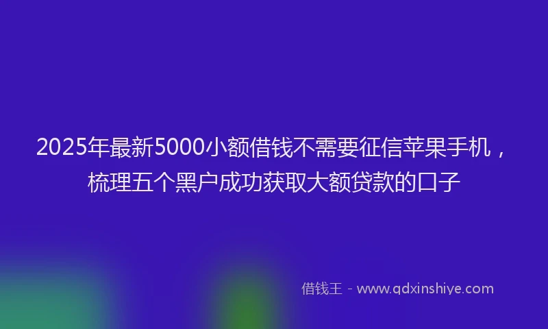 2025年最新5000小额借钱不需要征信苹果手机，梳理五个黑户成功获取大额贷款的口子