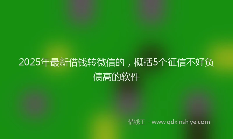 2025年最新借钱转微信的，概括5个征信不好负债高的软件