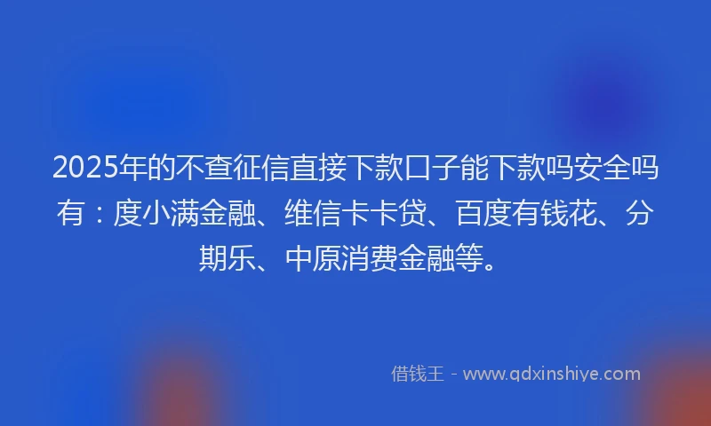 2025年的不查征信直接下款口子能下款吗安全吗有：度小满金融、维信卡卡贷、百度有钱花、分期乐、中原消费金融等。
