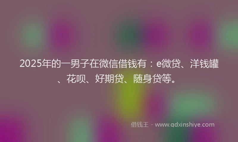 2025年的一男子在微信借钱有：e微贷、洋钱罐、花呗、好期贷、随身贷等。