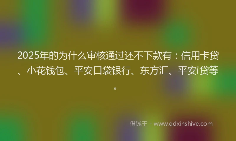2025年的为什么审核通过还不下款有：信用卡贷、小花钱包、平安口袋银行、东方汇、平安i贷等。