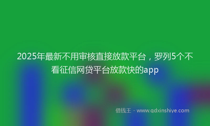 2025年最新不用审核直接放款平台，罗列5个不看征信网贷平台放款快的app
