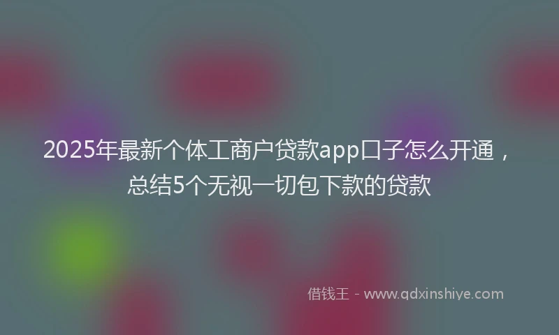 2025年最新个体工商户贷款app口子怎么开通，总结5个无视一切包下款的贷款