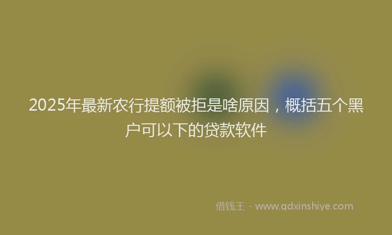 2025年最新农行提额被拒是啥原因，概括五个黑户可以下的贷款软件