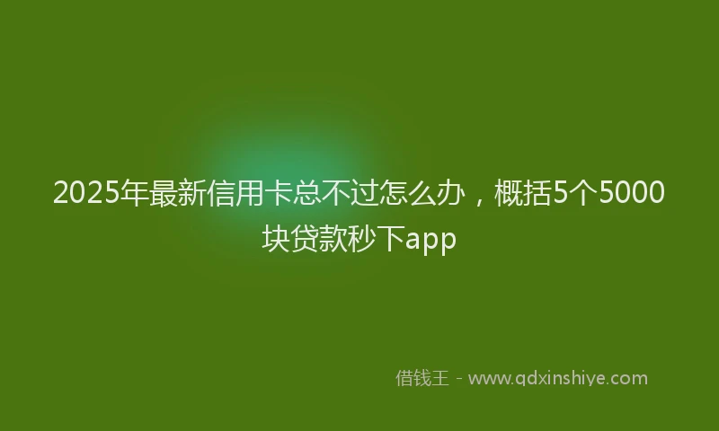 2025年最新信用卡总不过怎么办，概括5个5000块贷款秒下app