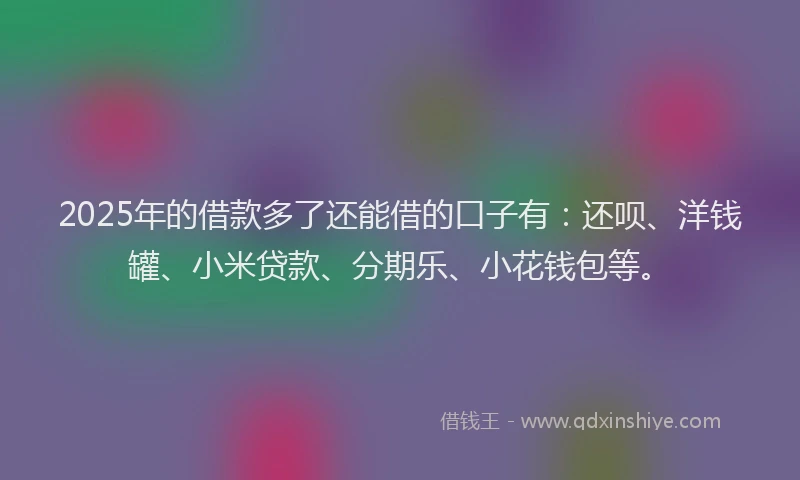2025年的借款多了还能借的口子有：还呗、洋钱罐、小米贷款、分期乐、小花钱包等。