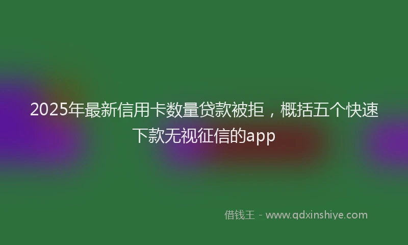 2025年最新信用卡数量贷款被拒，概括五个快速下款无视征信的app