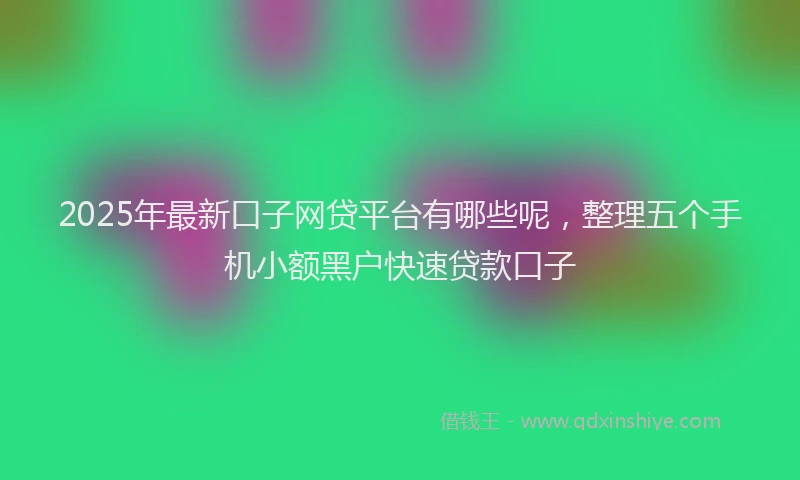 2025年最新口子网贷平台有哪些呢，整理五个手机小额黑户快速贷款口子