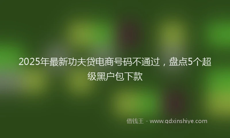 2025年最新功夫贷电商号码不通过，盘点5个超级黑户包下款