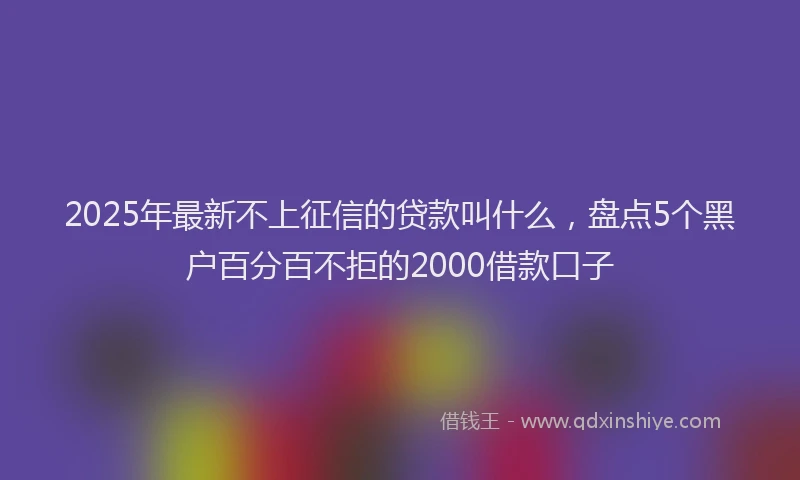 2025年最新不上征信的贷款叫什么，盘点5个黑户百分百不拒的2000借款口子
