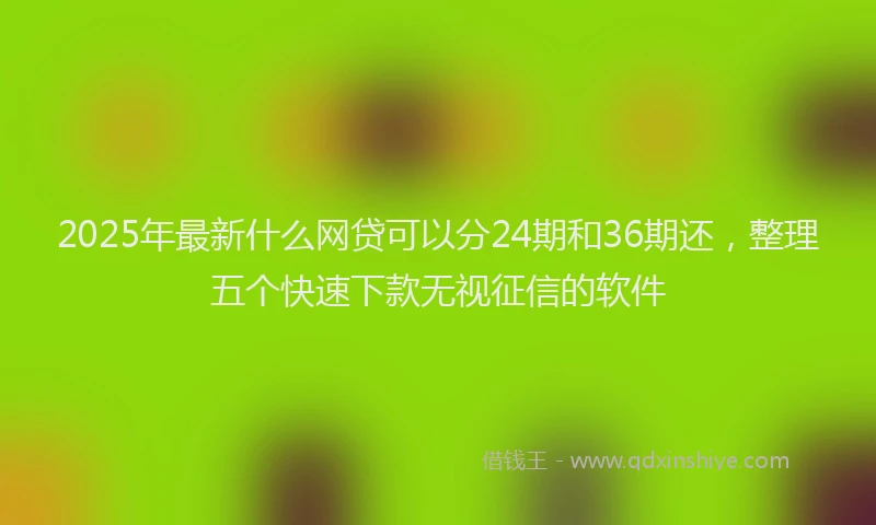 2025年最新什么网贷可以分24期和36期还，整理五个快速下款无视征信的软件