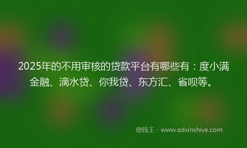 2025年的不用审核的贷款平台有哪些有：度小满金融、滴水贷、你我贷、东方汇、省呗等。