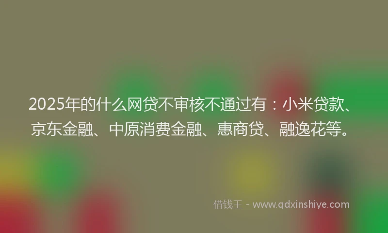 2025年的什么网贷不审核不通过有：小米贷款、京东金融、中原消费金融、惠商贷、融逸花等。