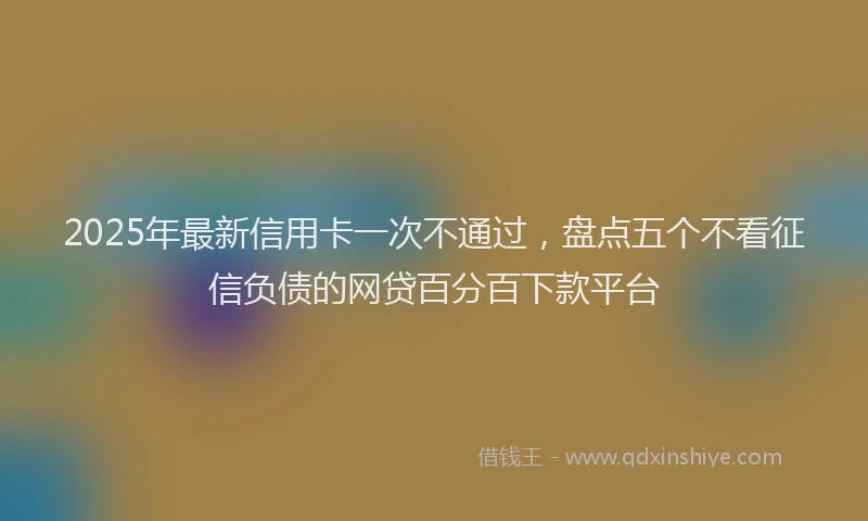 2025年最新信用卡一次不通过，盘点五个不看征信负债的网贷百分百下款平台