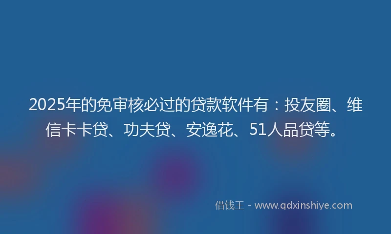 2025年的免审核必过的贷款软件有：投友圈、维信卡卡贷、功夫贷、安逸花、51人品贷等。