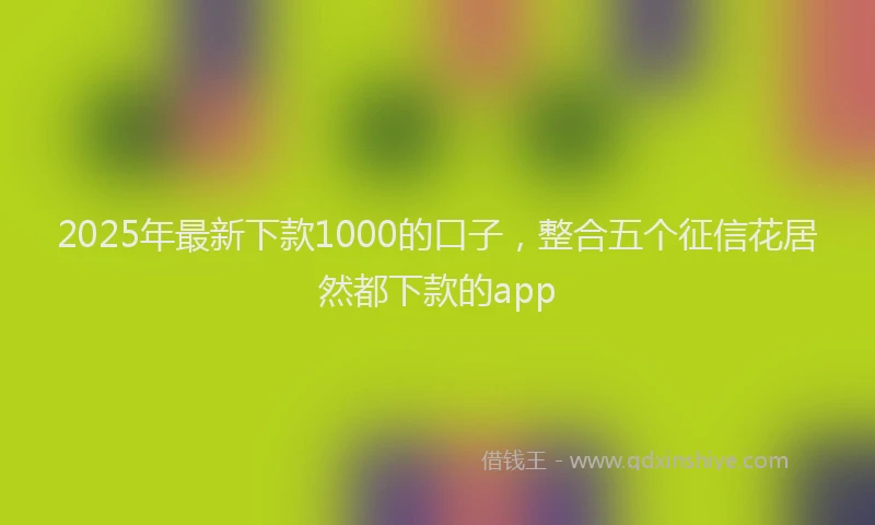 2025年最新下款1000的口子，整合五个征信花居然都下款的app
