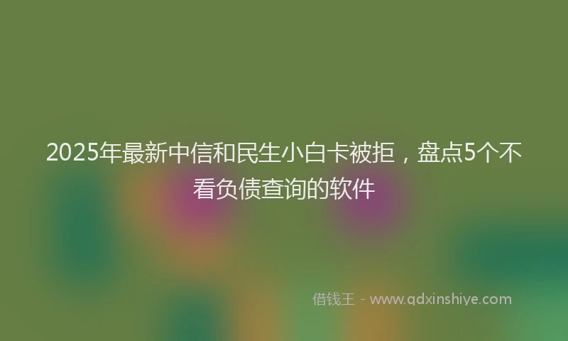 2025年最新中信和民生小白卡被拒，盘点5个不看负债查询的软件