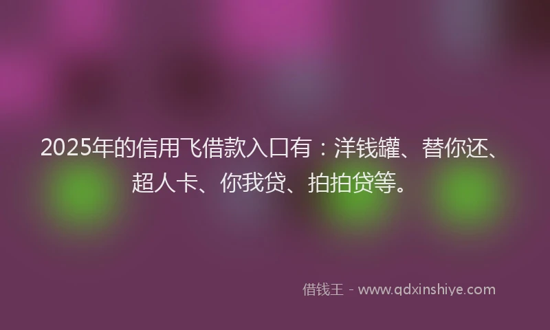 2025年的信用飞借款入口有：洋钱罐、替你还、超人卡、你我贷、拍拍贷等。