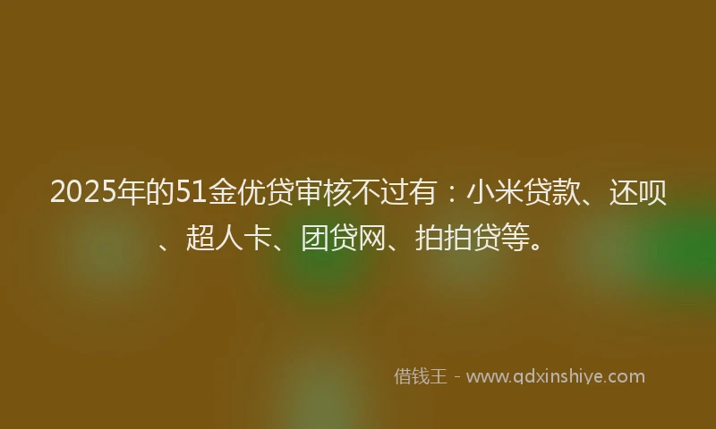 2025年的51金优贷审核不过有：小米贷款、还呗、超人卡、团贷网、拍拍贷等。