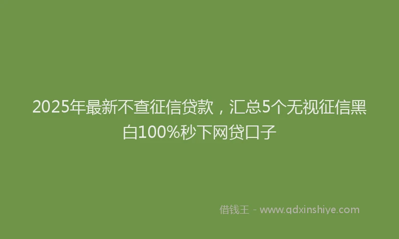 2025年最新不查征信贷款，汇总5个无视征信黑白100%秒下网贷口子