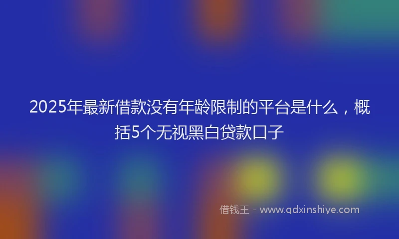 2025年最新借款没有年龄限制的平台是什么，概括5个无视黑白贷款口子