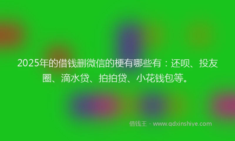 2025年的借钱删微信的梗有哪些有：还呗、投友圈、滴水贷、拍拍贷、小花钱包等。