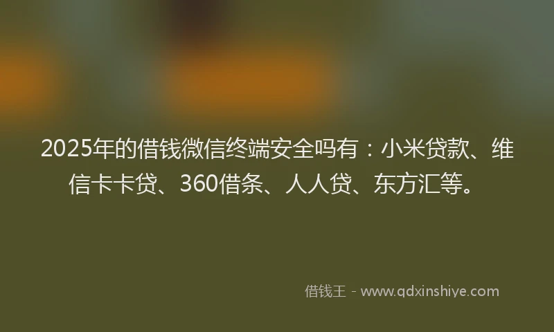 2025年的借钱微信终端安全吗有：小米贷款、维信卡卡贷、360借条、人人贷、东方汇等。