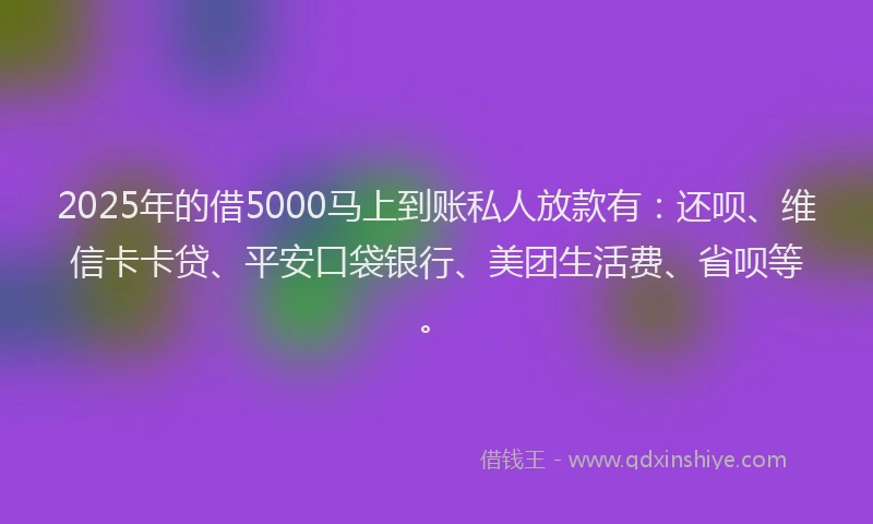 2025年的借5000马上到账私人放款有：还呗、维信卡卡贷、平安口袋银行、美团生活费、省呗等。