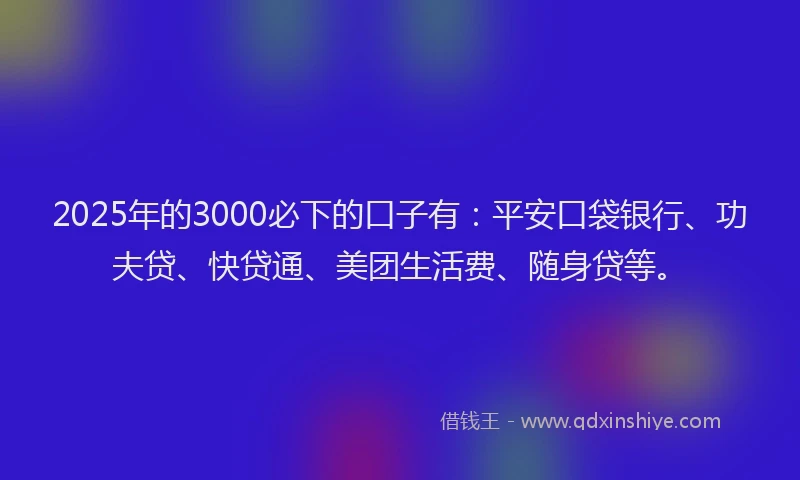 2025年的3000必下的口子有：平安口袋银行、功夫贷、快贷通、美团生活费、随身贷等。
