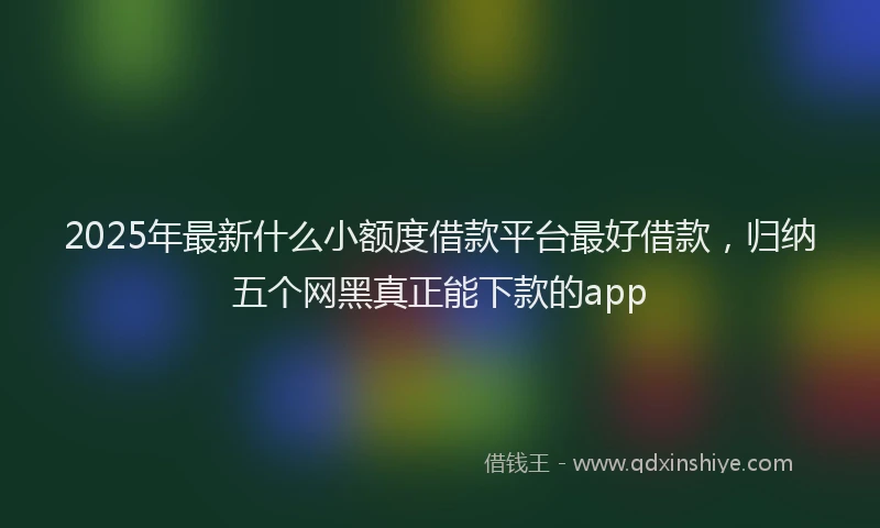 2025年最新什么小额度借款平台最好借款，归纳五个网黑真正能下款的app