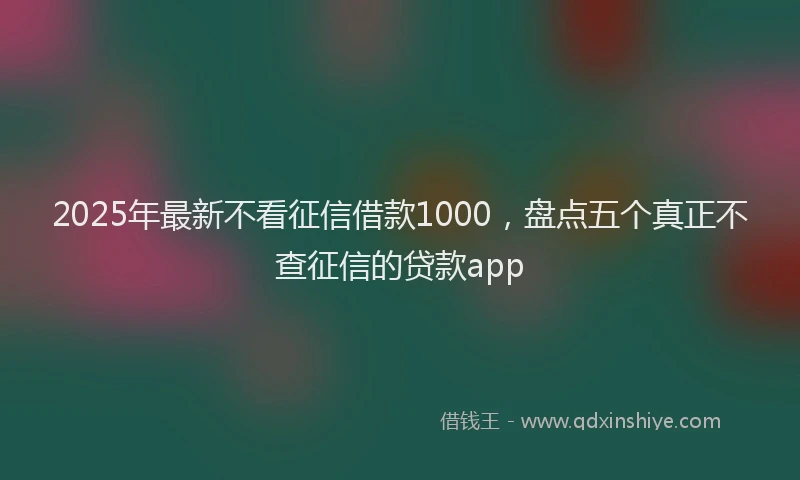 2025年最新不看征信借款1000，盘点五个真正不查征信的贷款app