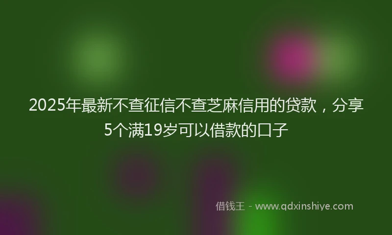 2025年最新不查征信不查芝麻信用的贷款，分享5个满19岁可以借款的口子