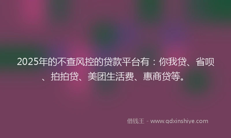 2025年的不查风控的贷款平台有：你我贷、省呗、拍拍贷、美团生活费、惠商贷等。