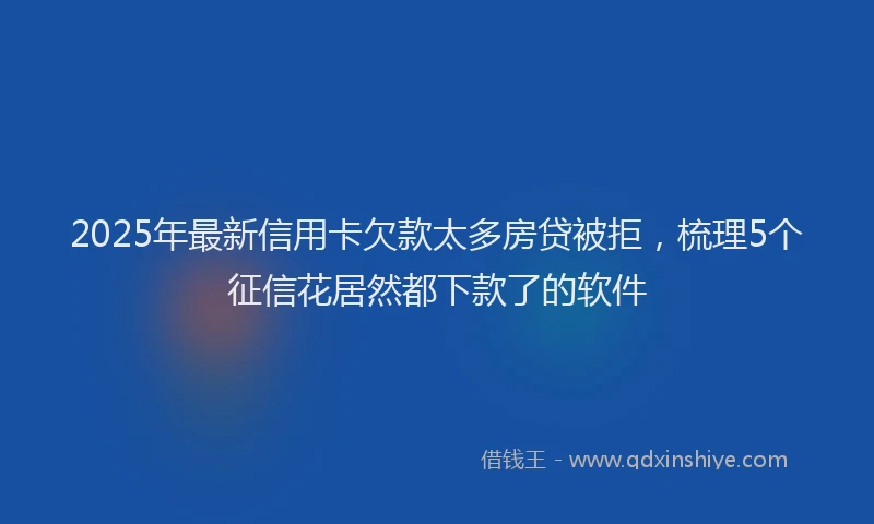 2025年最新信用卡欠款太多房贷被拒，梳理5个征信花居然都下款了的软件