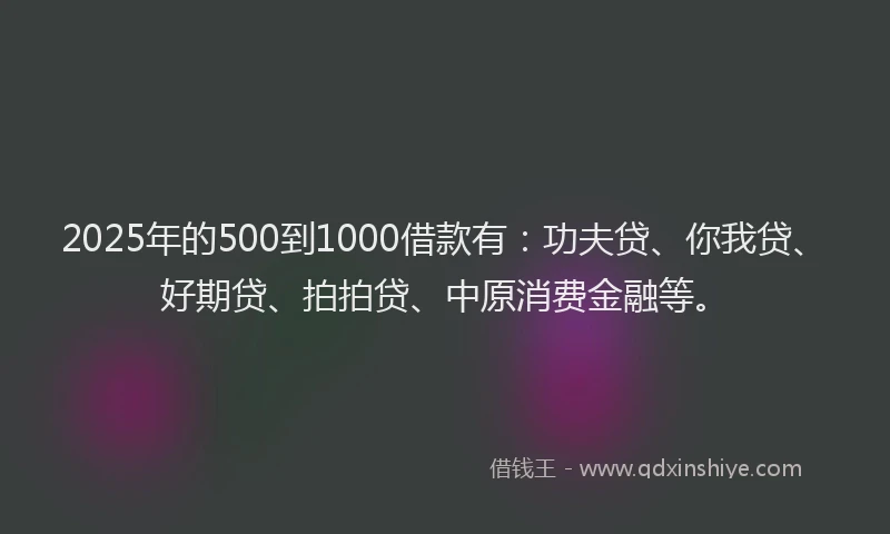 2025年的500到1000借款有：功夫贷、你我贷、好期贷、拍拍贷、中原消费金融等。