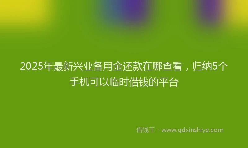 2025年最新兴业备用金还款在哪查看，归纳5个手机可以临时借钱的平台