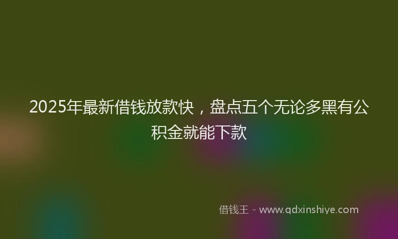 2025年最新借钱放款快，盘点五个无论多黑有公积金就能下款